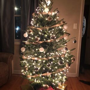 Meet your Posher, Leo